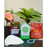 Plug in Quran Illuminated Quran and Hadith speaker - Image 2